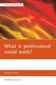 What is professional social work?