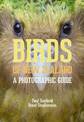 Birds of New Zealand: A Photographic Guide