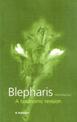 Blepharis (acanthaceae): A Taxonomic Revision