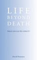 Life Beyond Death: What Should We Expect?