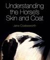 Understanding the Horse's Skin and Coat