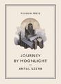 Journey by Moonlight