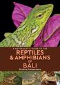 A Naturalist's Guide to the Reptiles & Amphibians of bali