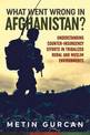 What Went Wrong in Afghanistan?: Understanding Counter-Insurgency Efforts in Tribalized Rural and Muslim Environments