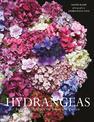 Hydrangeas: Beautiful varieties for home and garden