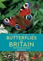 A Naturalist's Guide to the Butterflies of Britain and Northern Europe (2nd edition)