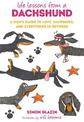 Life Lessons from a Dachshund: A Dog's Guide to Love, Happiness, and Everything in Between