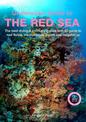 An Underwater Guide to the Red Sea