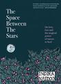 The Space Between the Stars: On love, loss and the magical power of nature to heal