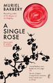 A Single Rose