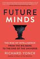 Future Minds: The Rise of Intelligence from the Big Bang to the End of the Universe