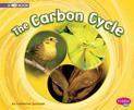 Carbon Cycle: a 4D Book (Cycles of Nature)