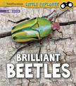 Brilliant Beetles: a 4D Book (Little Entomologist 4D)