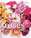 The Color of Roses: A Curated Spectrum of 300 Blooms