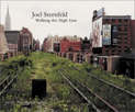 Joel Sternfeld: Walking the High Line