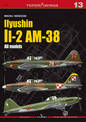 Iiyushin II-2 am-8