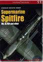 Supermarine Spitfire: Mk Ix/ Xvi and Other