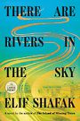 There Are Rivers in the Sky (Large Print)