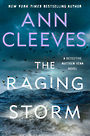 The Raging Storm: A Detective Matthew Venn Novel (Large Print)